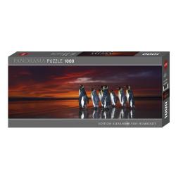 Puzzle King Penguins 1000 pezzi