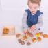 Set food da 18 mesi