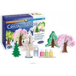 Chimica della Cristallizzazione dai 8 anni