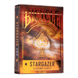 Bicycle Stargazer 202