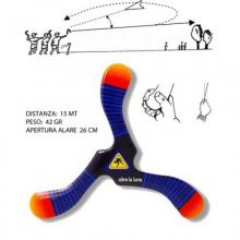 Boomerang Zebra III