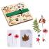 Kit del Botanico + 5 Anni Kit del Botanico + 5 Anni