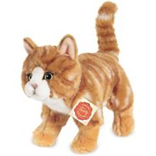 Teddy Gatto Rosso tigrato da 1 anno